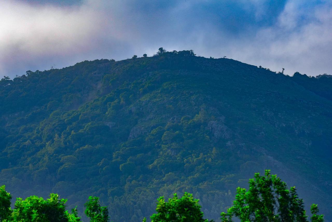 Oaks Villa By Xplore Indo Yercaud Extérieur photo